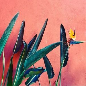 Meet your Posher, Melanie